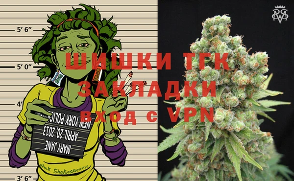 прущие грибы Куйбышев