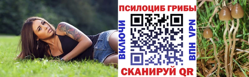 хочу   Михайловка  Псилоцибиновые грибы Psilocybe 